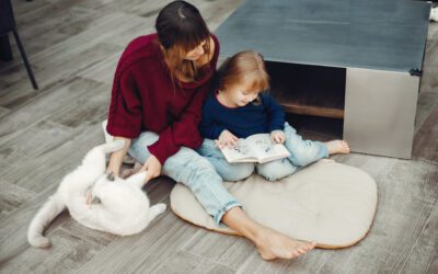 Best Carpet & Flooring for Homes with Children and Pets in Palmdale & Lancaster